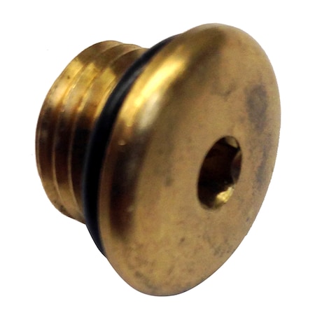 Brass Plug W/O-Ring For Pumps